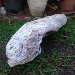 Natural Driftwood Cave Piece Aquarium Terrarium Decor 