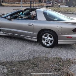 99 FIREBIRD TTOPS