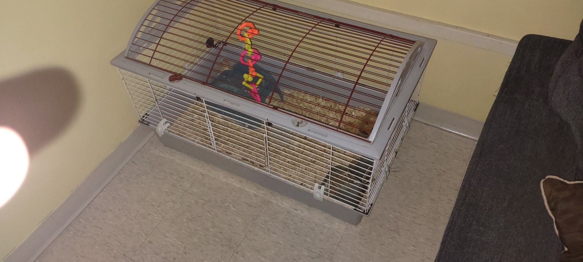 Cage