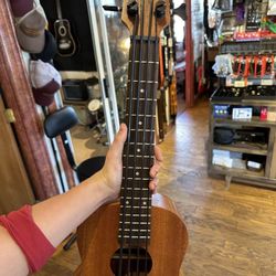 U-Bass / Acoustic Electric Bass Guitar 