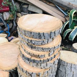 8 Inch Wood Slices