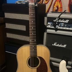 Rogue 12 String Acoustic 