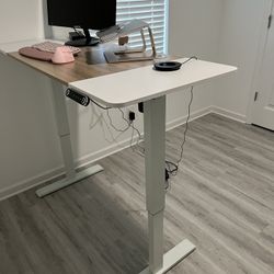 Electric Standing Desk 