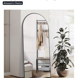 Mirror- Body Length - Black Frame