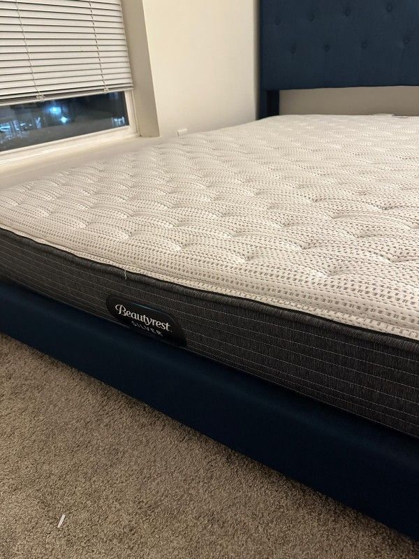 Queen Mattress From Mattress Firm (Extra Firm)