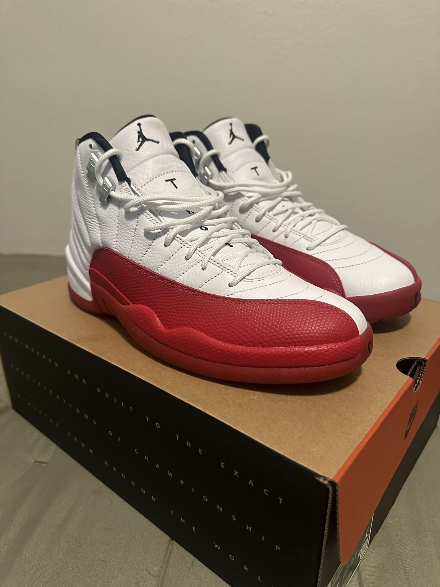 Jordan Cherry 12s