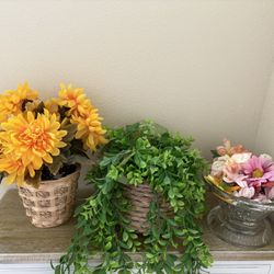 Fake Plants 