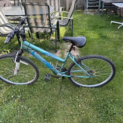 Bicycle