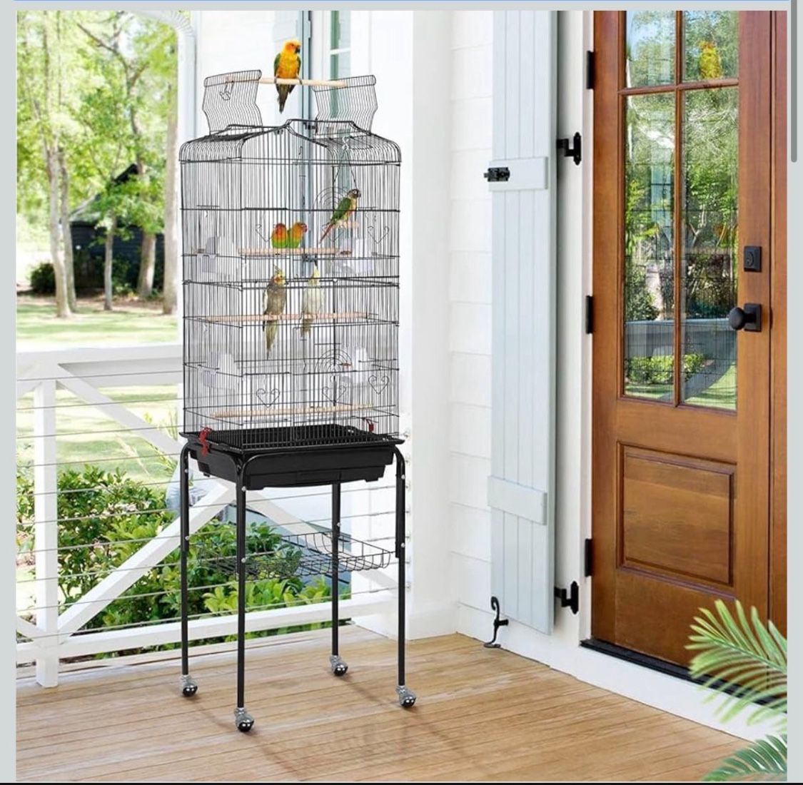 64 inch birdcage 591825