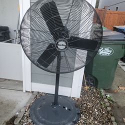 Huge Fan