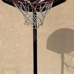 Lifetime Basketball Hoop Net