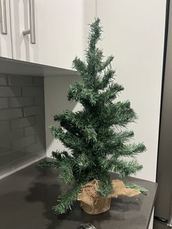 Christmas Tree - Mini Desk 2ft