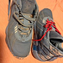 Damien Lillards Basketball Shoes