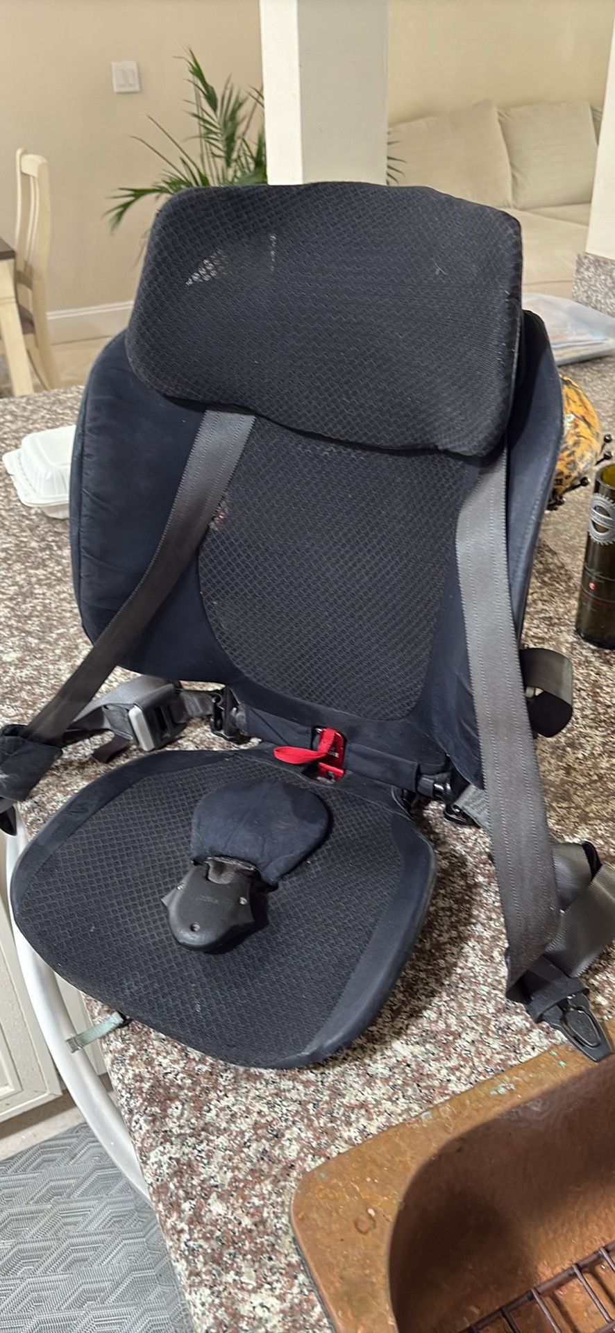 Pico Travel Car Seat