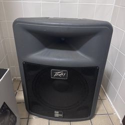 Peavey PR 15