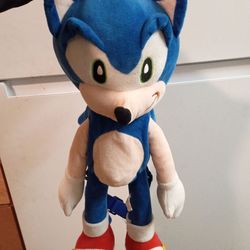 Sonic backpack