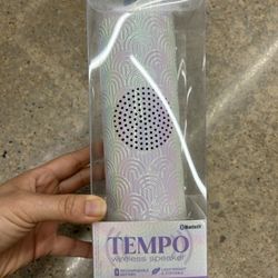 NWT Tempo wireless speaker
