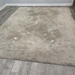Beige Rug