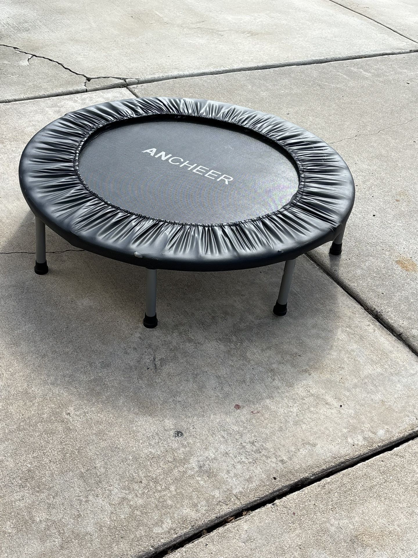 Workout Trampoline