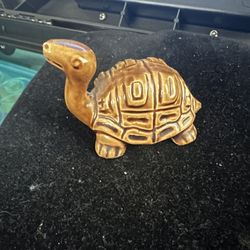 Collectible Tiny Turtle 