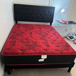 Queen Bed