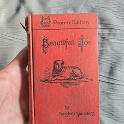 Beautiful Joe From 1903.