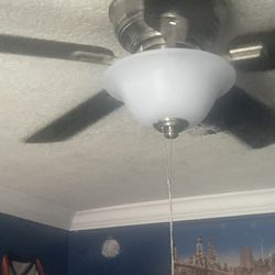Ceiling Fans 