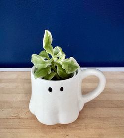 Mini Ceramic Ghost Mug Planter with Live Baby Sun Rose Plant