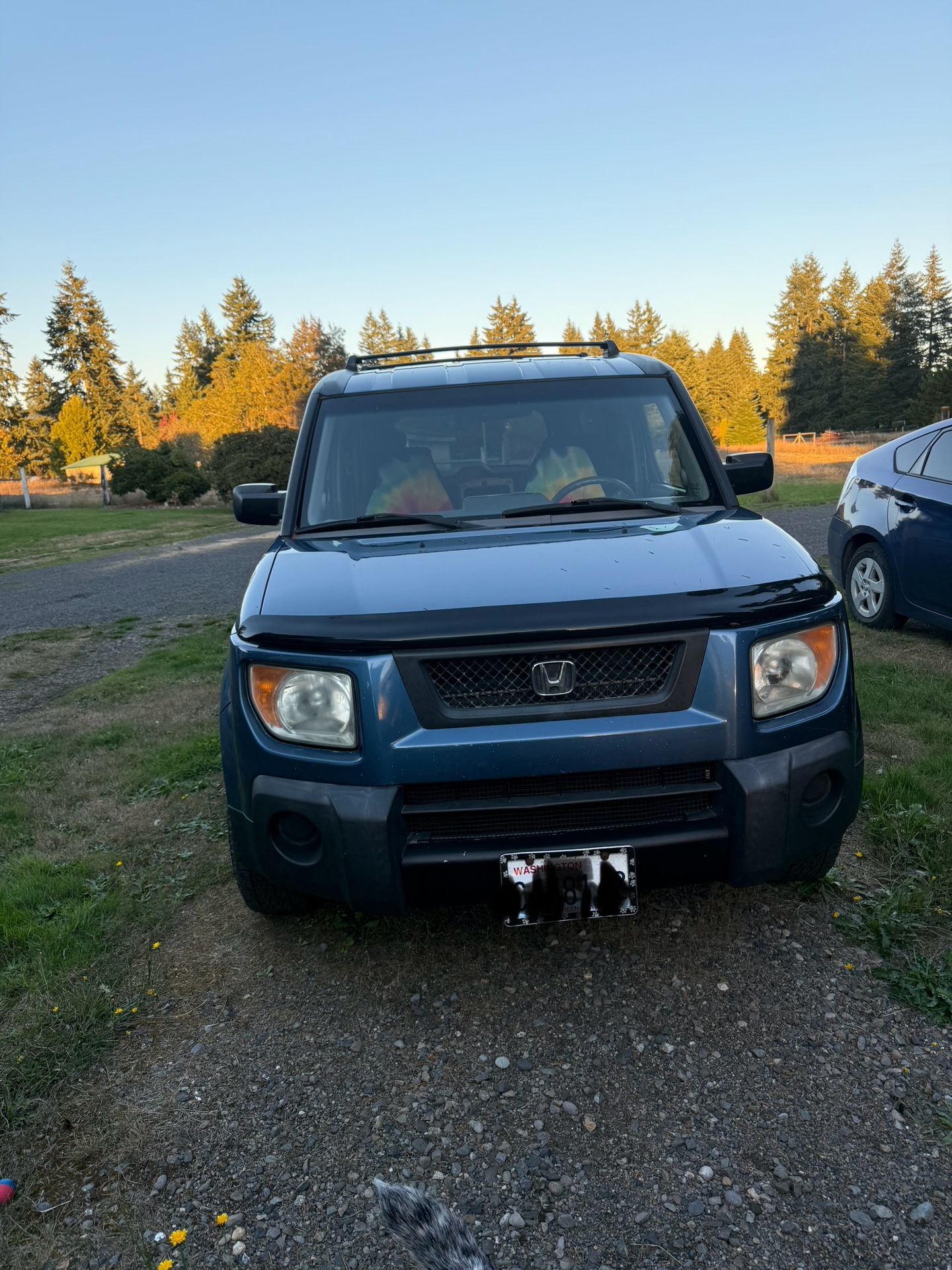 2006 Honda Element