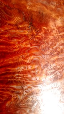 Curly redwood burl.