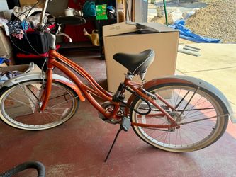 Raleigh Cruiser Bicycle