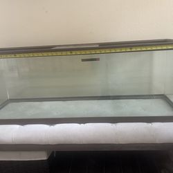 50 gallon tank