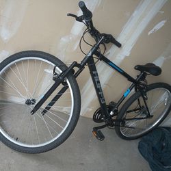 Bike And Bike Trailer 