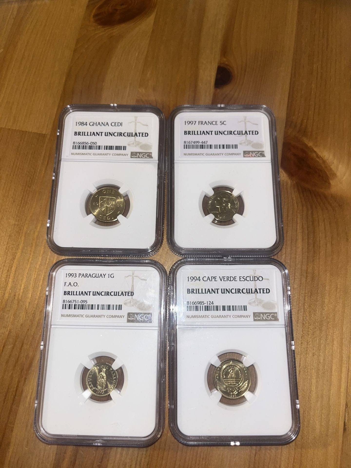 NGC world Coin Slabs