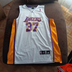 Ron Artest Laker Jersey