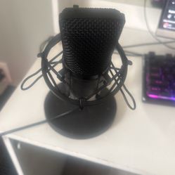 Studio Mic