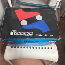 Boys Roller Skates 