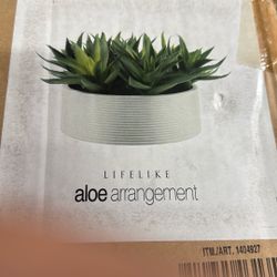 Aloe Arrangement Lifelike