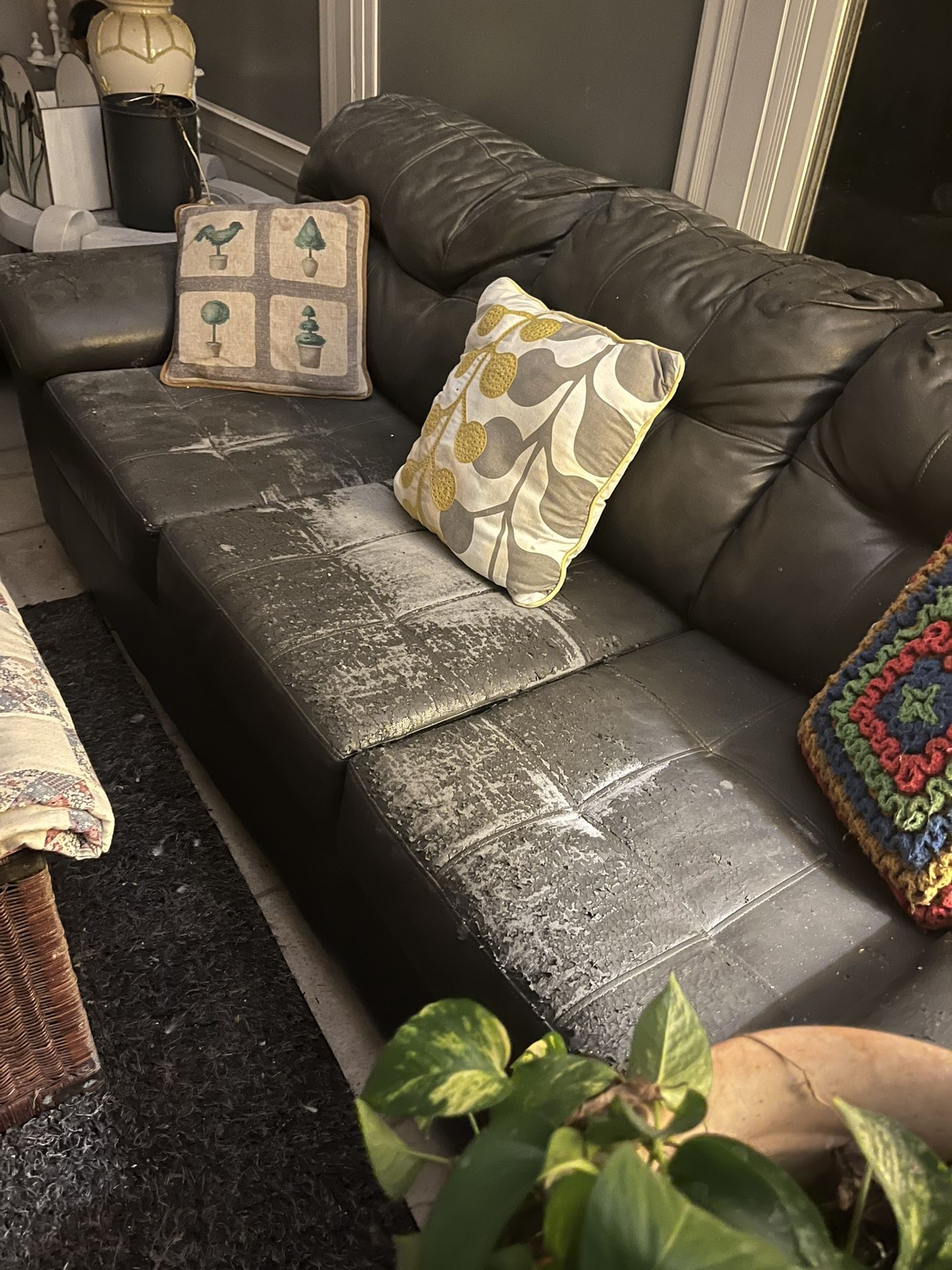 Free Couch In Case You Need A Temp Or If Your Handy Recover It