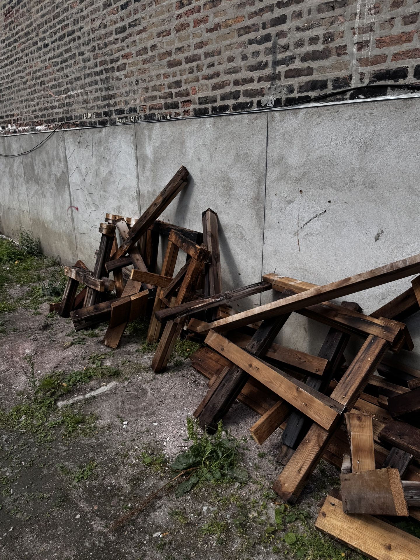 Free Cedar Wood – Must Take All