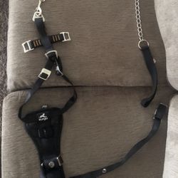 dog hatch(comes with gold chain)