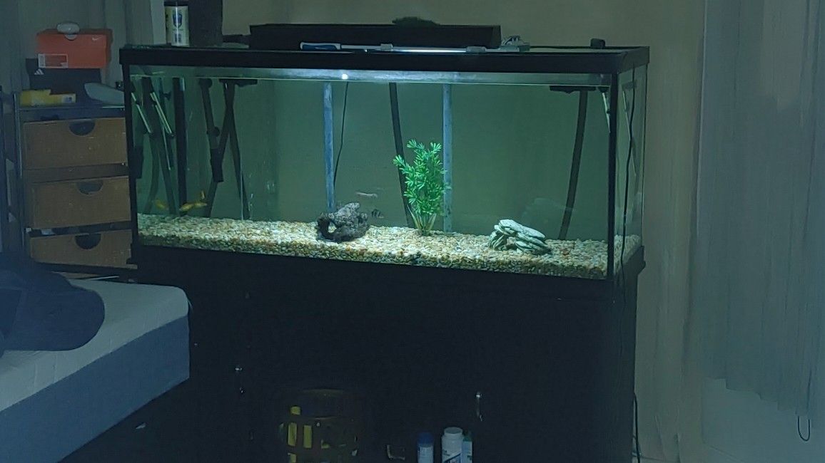 150gal Fish Tank