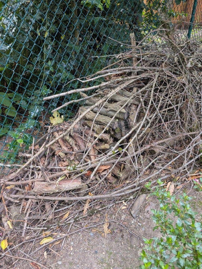 Free Wood Rounds Etc