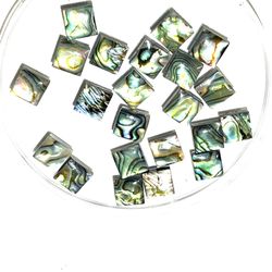 Lot Of 22 Paua/Abalone Beads
