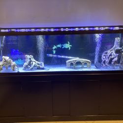 125 Gal Fish Tank