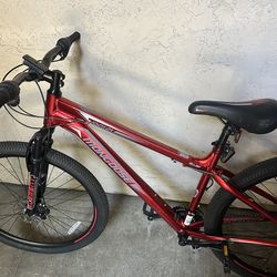29 inch mongoose bike