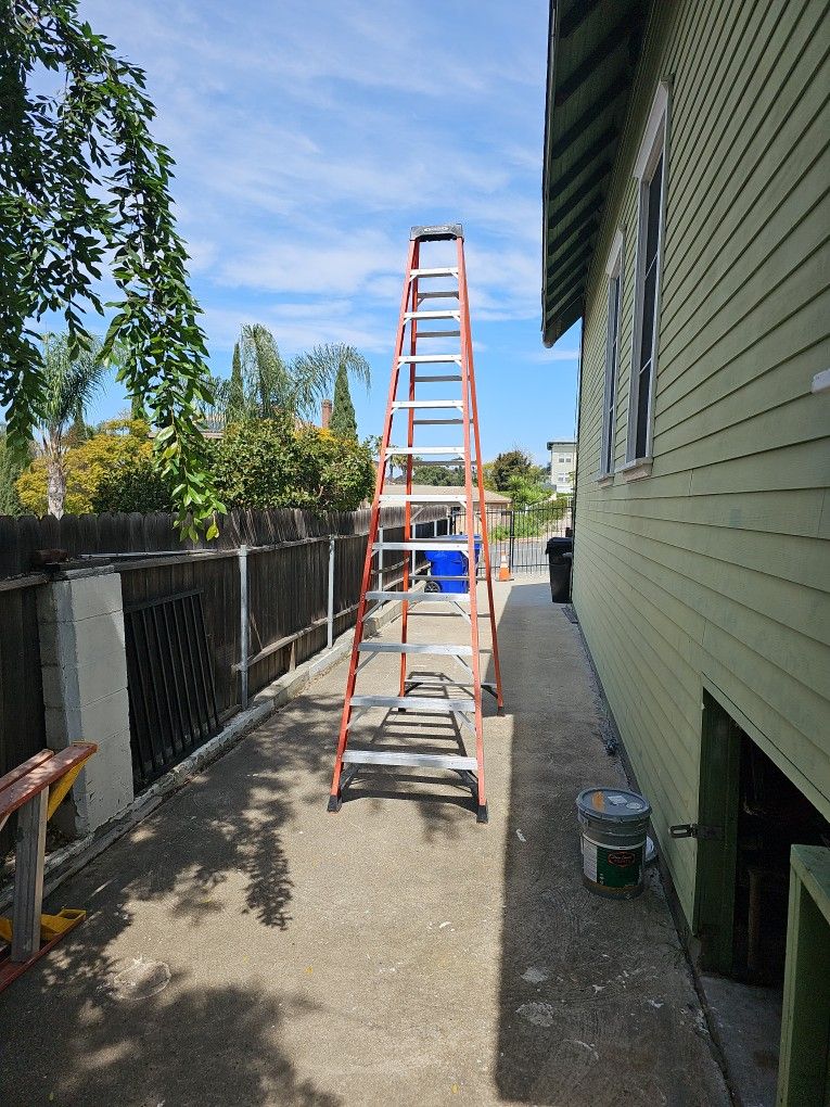 Werner 12ft Ladder