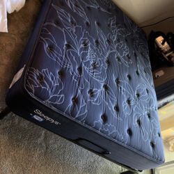 Sleepys Queen Mattress