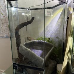 terrarium