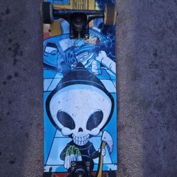 Skate Board Blind Board